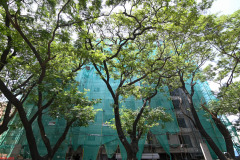 Pushkar_epica_korattur-4