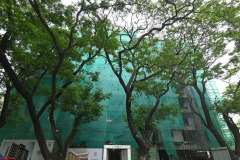 flats-in-korattur-progress-pushkar-elegance-construction-update-1.jpg-2