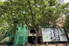flats-in-mylapore-progress-pushkar-elegance-construction-update-1.jpg-3