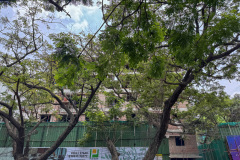 flats-in-thiruvanmiyur-progress-pushkar-elegance-construction-update-1.jpg-3
