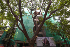 flats-in-anna-nagar-progress-pushkar-elegance-construction-update-1.jpg-3